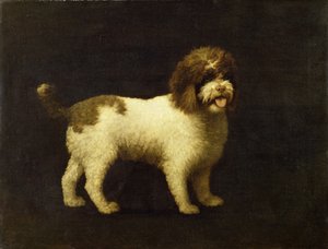 水猎犬，1769年